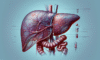 Liver Blood Test Analysis: In-Depth Insights in Tewkesbury