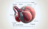 Self-Exams for Testicular Cancer: Essential Detection Advice