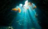 Belize Diving: Discover Breathtaking Underwater Wonders