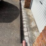 Termite Protection: How to Identify Coverage for Your Home