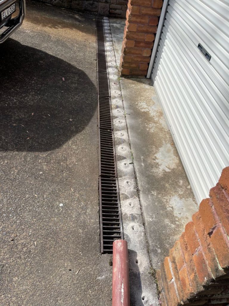 Termite Protection: How to Identify Coverage for Your Home