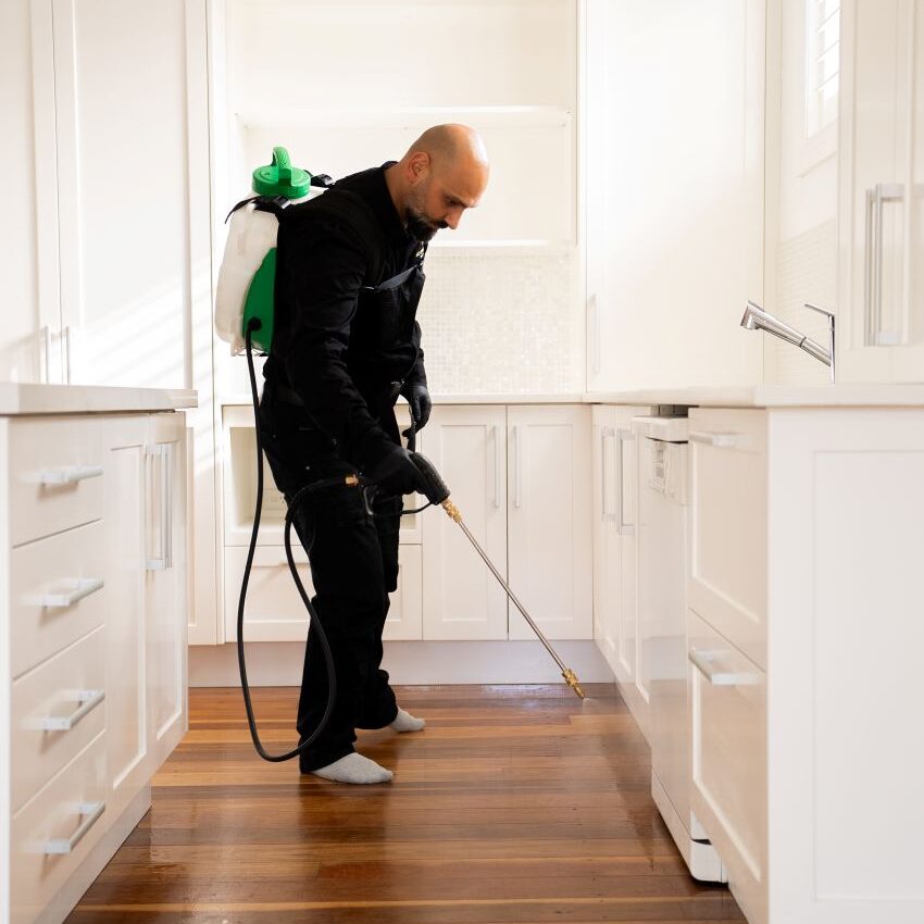DIY Pest Control: Limitations of Shop-Bought Sprays
