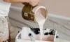 Exterior Paint Jobs: Master Sydney’s Humidity with Expert Tips