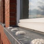 Bird Proofing Solutions: Options for Spike-Free Gel Repellents