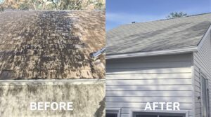 Explore the Essential Role of Soft Washing in Complete Home Maintenance