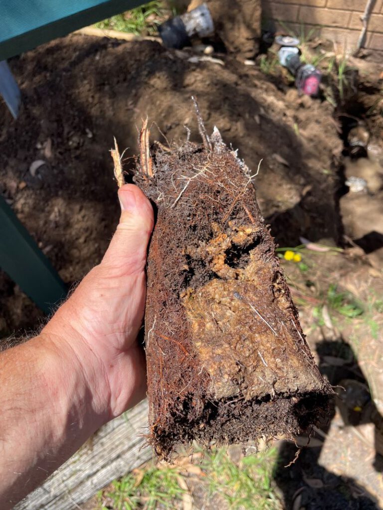 Clay Soil’s Impact on Caboolture Pipes Uncovered