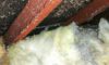 Skip Hire Service: Essential Tips for Asbestos Concerns