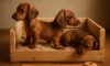 Puppy Comfort Tips for a Cozily Set Up Crate