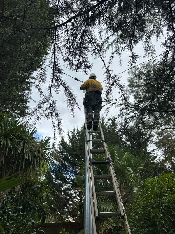 Response to Electrical Defect Notice on the Mid North Coast